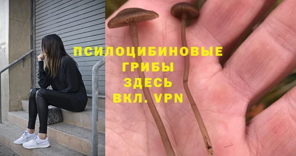 хмурый Алексеевка