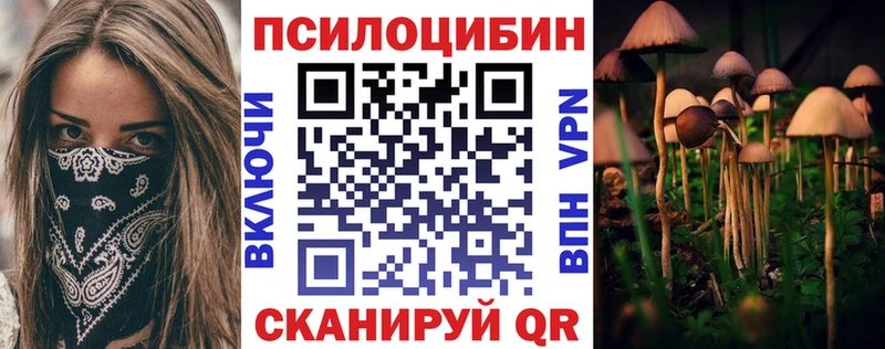 магазин  наркотиков  мега ТОР  Галлюциногенные грибы GOLDEN TEACHER  Ленинск 